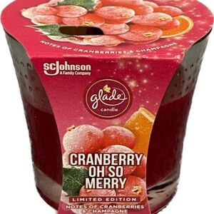 GLADE CRANBERRY Candle CRANBERRY OH SO MERRY LIMITED EDITION 3.4 OZ HTF NEW